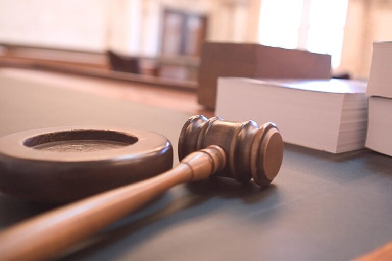 Look Ahead America Research Results in Voter Fraud Conviction