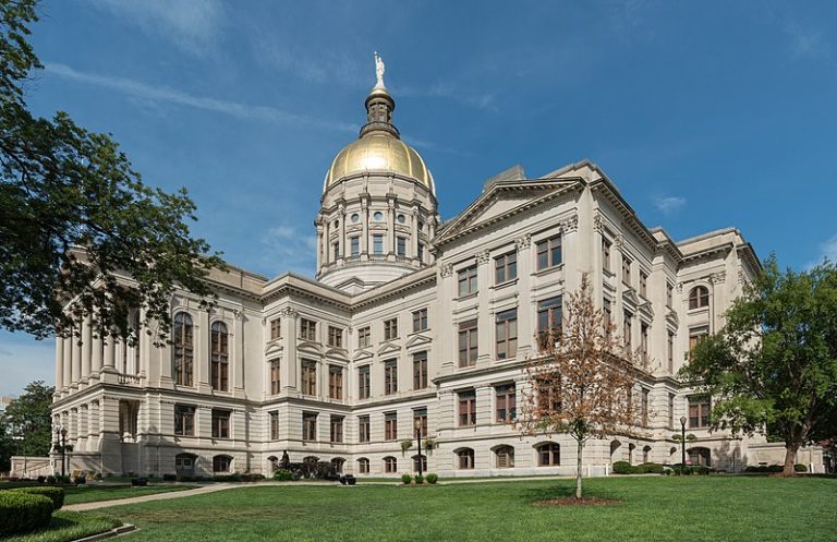 Look Ahead America’s Progress: 35 Georgia Counties Remove Illegal Registrants, A Dozen Pending Investigations by SOS