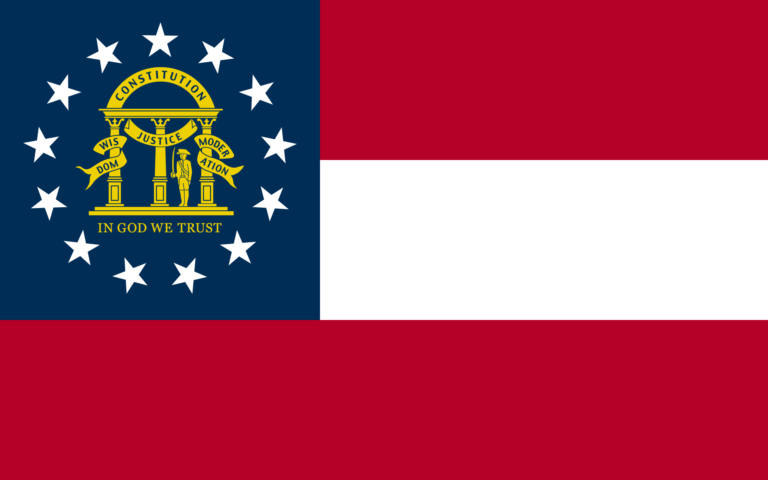 LAA’s Voter Integrity Project Releases The Georgia Report